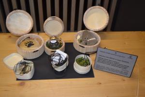 Kamen šapa in premog